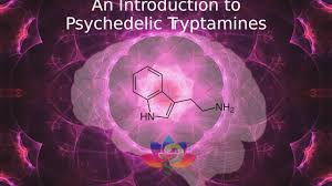 Psychedelic Tryptamines
