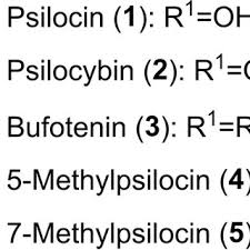 Natural vs Synthetic Tryptamines