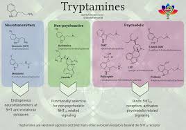 Tryptamines Around the World