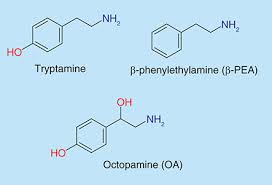 Access to Tryptamines Online